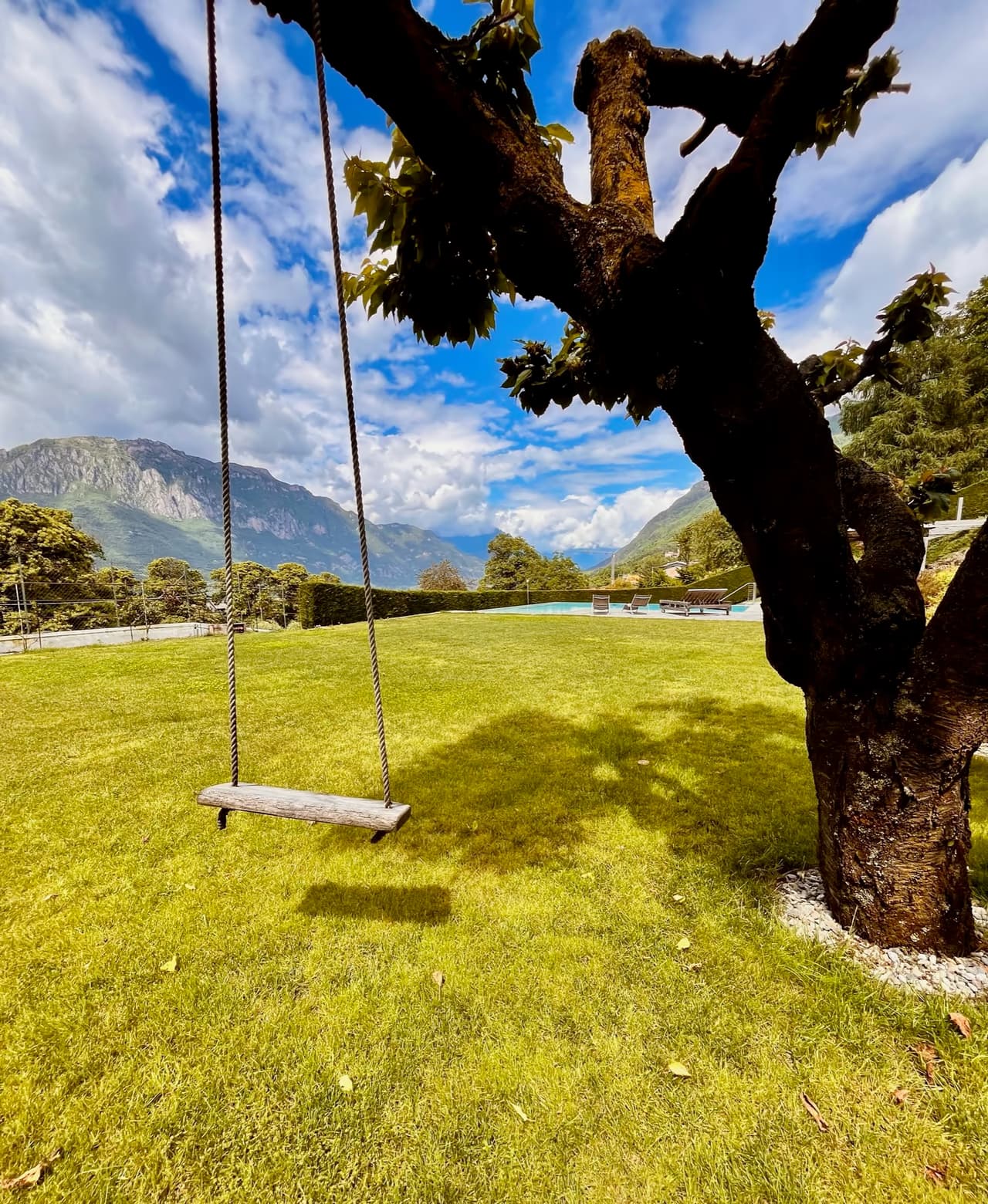 Swing